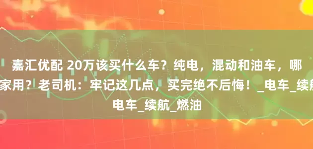 嘉汇优配 20万该买什么车？纯电，混动和油车，哪个适合家用？老司机：牢记这几点，买完绝不后悔！_电车_续航_燃油