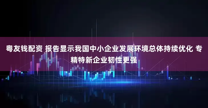 粤友钱配资 报告显示我国中小企业发展环境总体持续优化 专精特新企业韧性更强