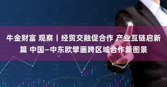 牛金财富 观察丨经贸交融促合作 产业互链启新篇 中国—中东欧擘画跨区域合作新图景